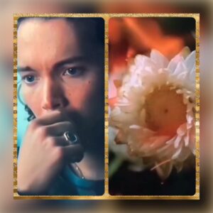 Toby Regbo: analogia
TOBY REGBO
"ADOW" 3.2
"The Lost Flowers of..." 1.1